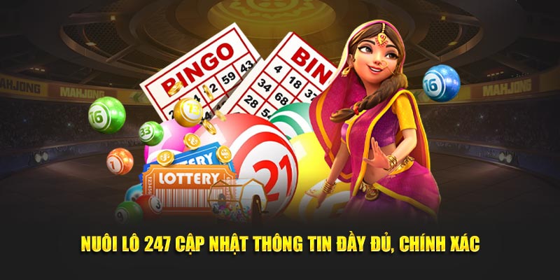 Nuôi Lô 247 cập nhật thông tin đầy đủ, chính xác